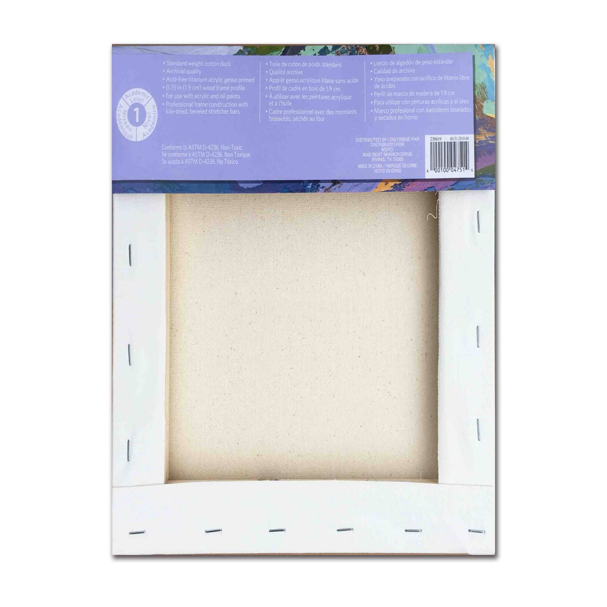 Level 1 Back Stapled Canvas by Artist's Loft